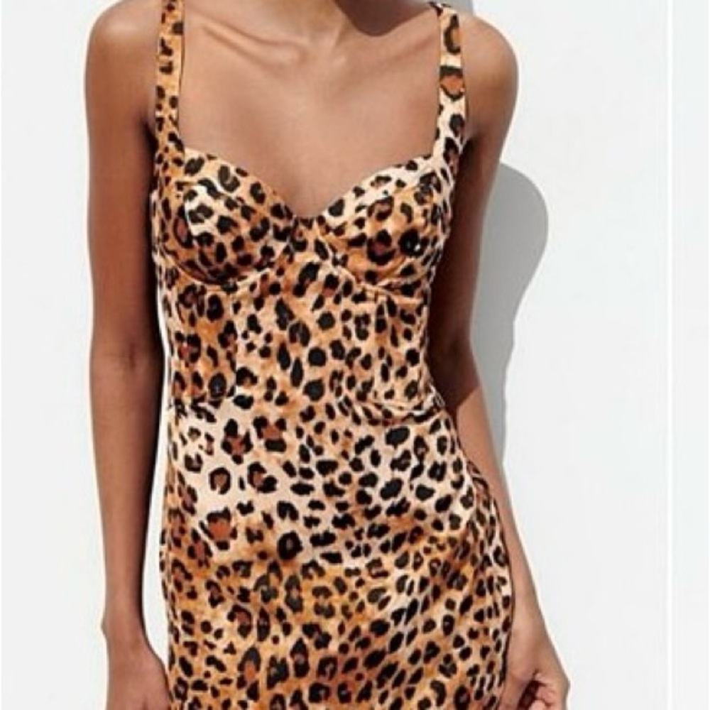 Zara Leopard Print Corset Midi Dress